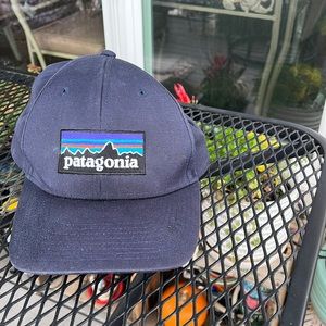 Patagonia Trucker Hat
